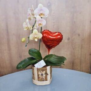 Arranjos Orquídea com balão coração
