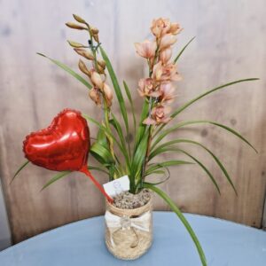 Arranjo Orquídeas