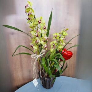Orquídea Amarela com balão coração