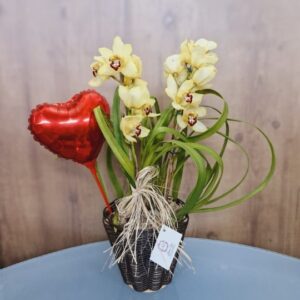 Vaso Orquídea com Balão coração
