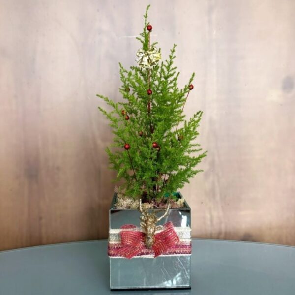 Pinheiro de Natal Decorado Pequeno - 40cm